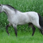 800px-Charming 800px-Charming