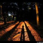 Shadow by Frapestaartje, on flickr