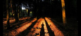Shadow by Frapestaartje, on flickr Shadow by Frapestaartje, on flickr