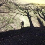 Shadows by ana branca, on flickr