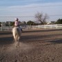 child on horse