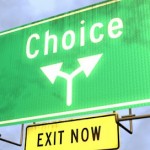 choices via wholelifediets.com