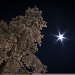 when you wish upon a star by simech on flickr when you wish upon a star by simech on flickr